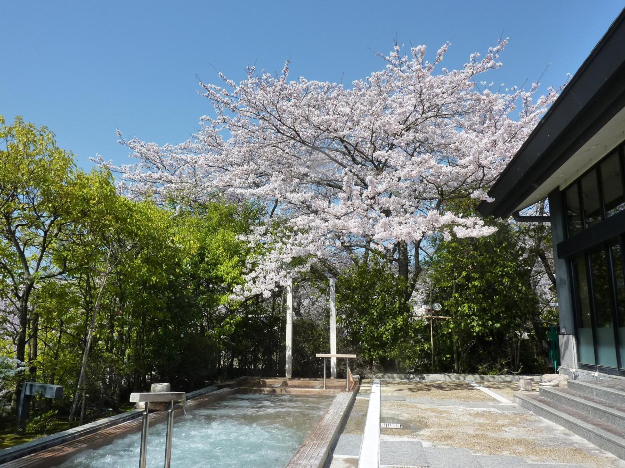 旅館 雄琴温泉　里湯昔話　雄山荘