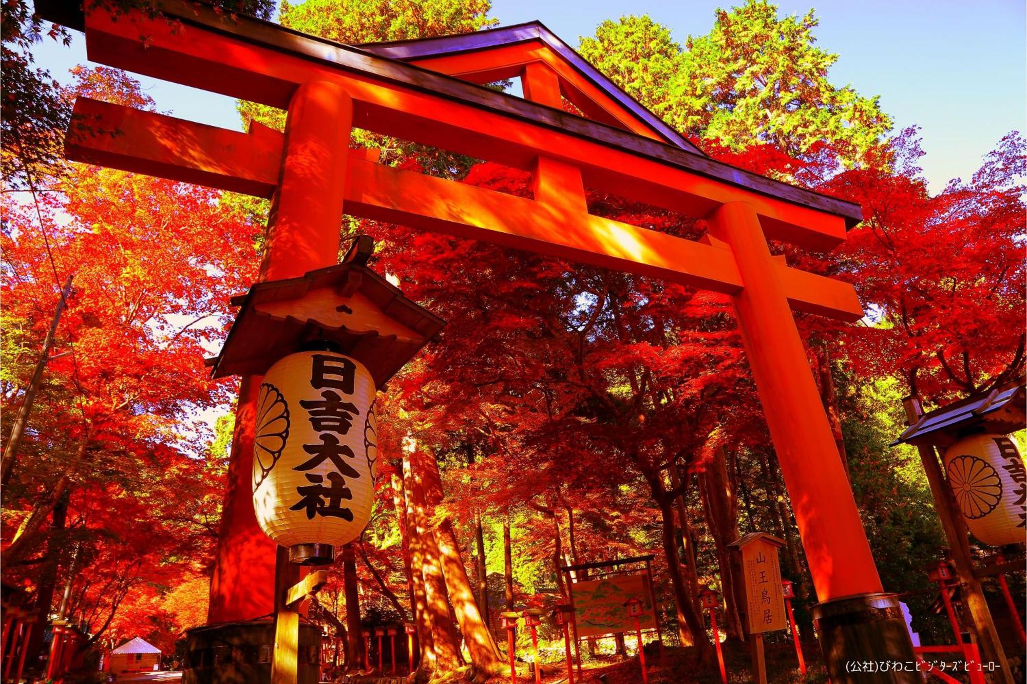 雄琴温泉　里湯昔話　雄山荘 旅館 大津市