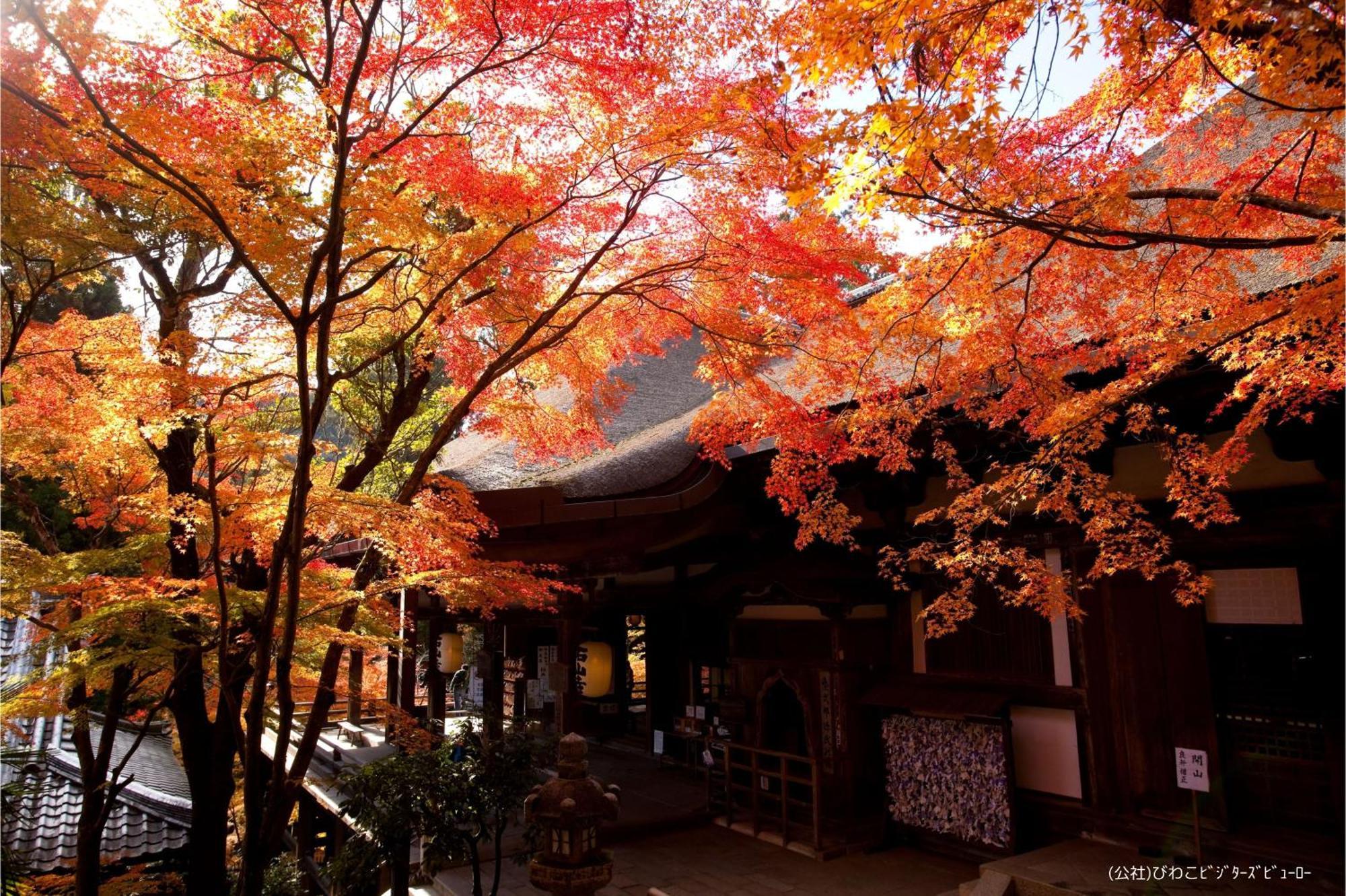 雄琴温泉　里湯昔話　雄山荘 旅館 4*